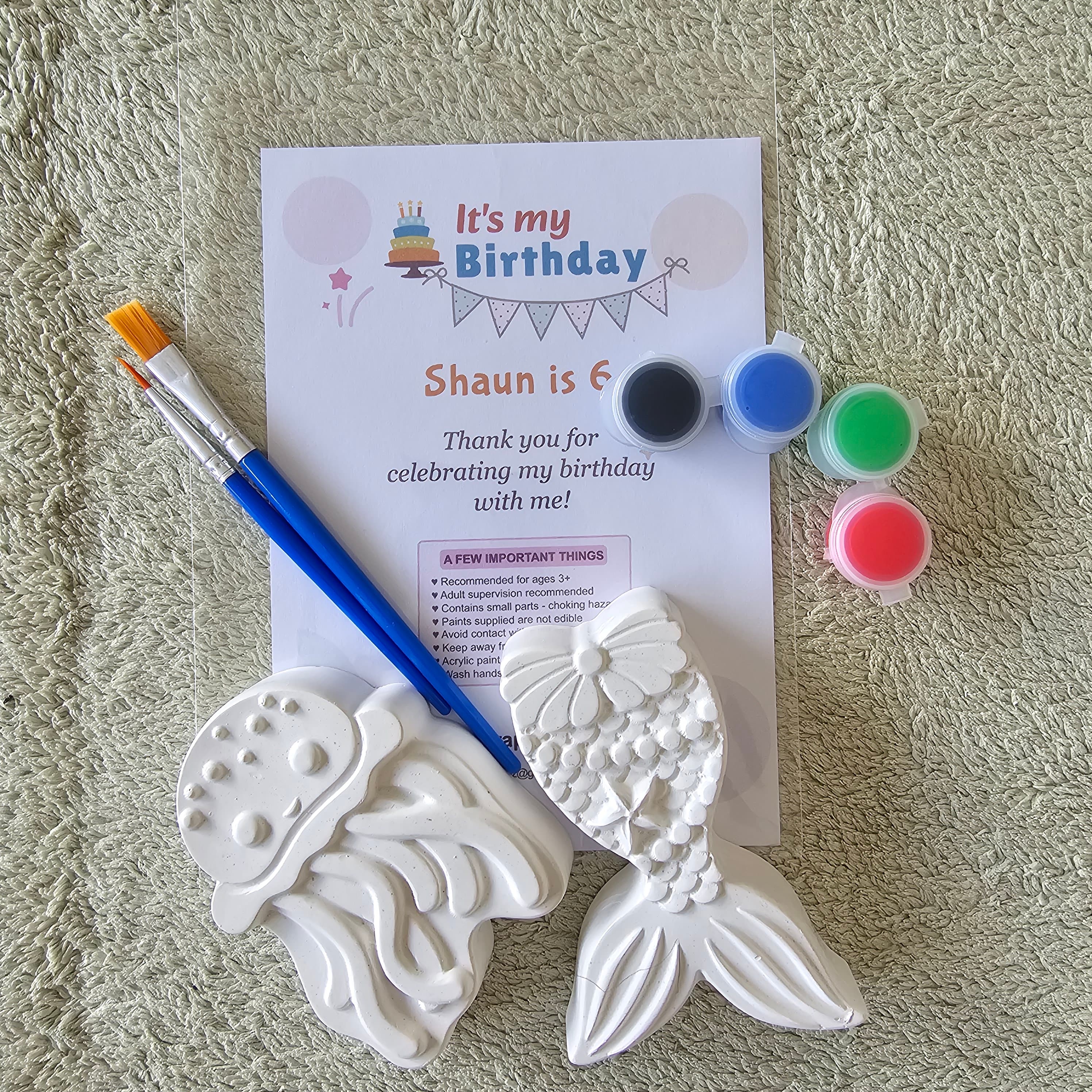 Paint-Your-Own Plaster Kit — image 2